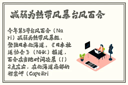 中文高清无码**
