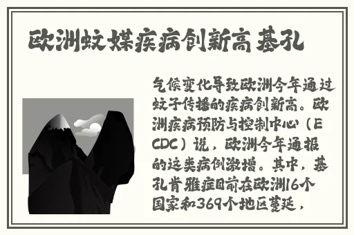 暗黑爆料官方入口网站大全