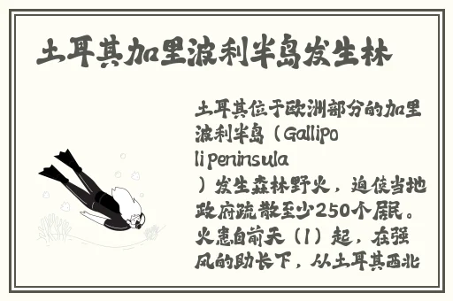渺渺没擦黑板被老师C了一节课